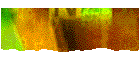 artnvhsa.gif (2615 octets)