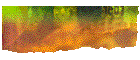 artnvvsa.gif (3377 octets)